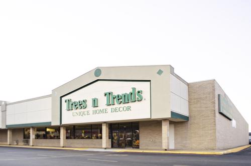 Trees N Trends 1
