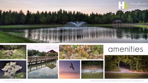 Screenshot 2026-03-05 at 12.47.35 PM.jpg